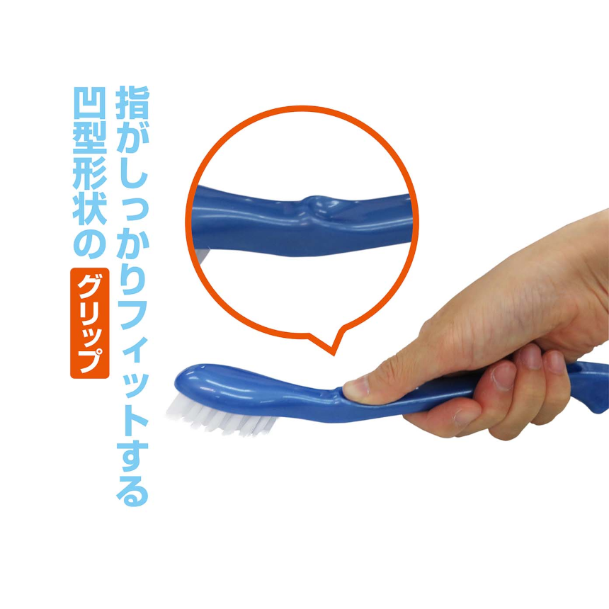 スライド画像